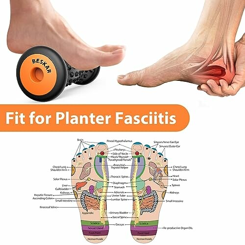 Foot massage tool for plantar fasciitis with foot anatomy diagram.