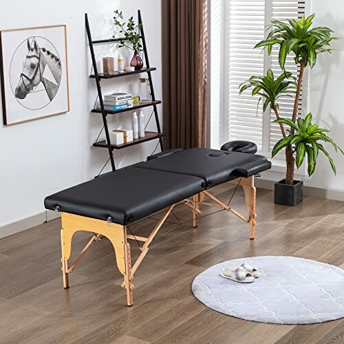 Massage table in a room with a plant and shelf.